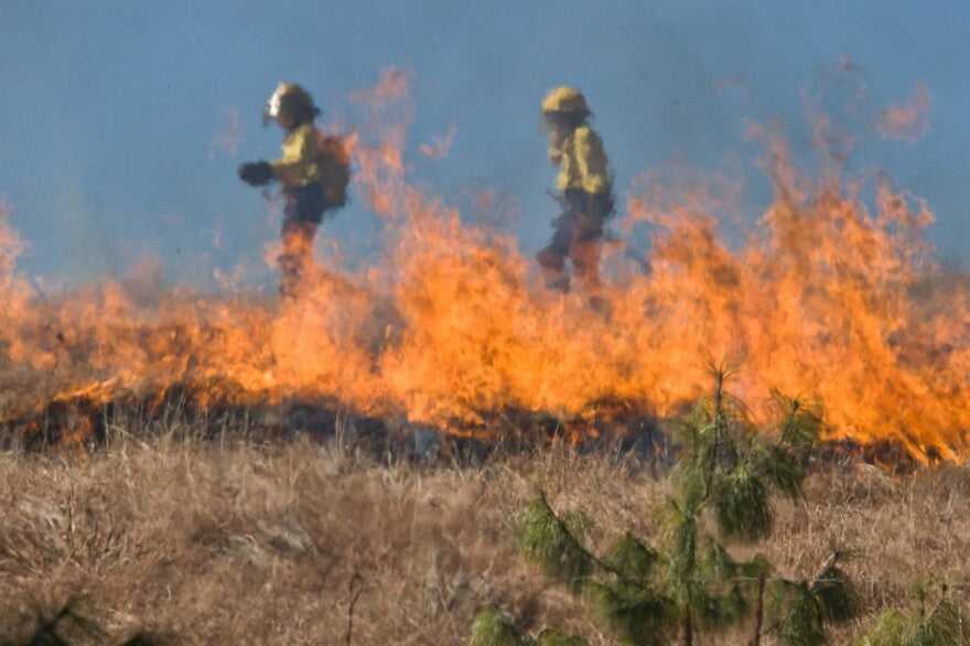 Demystifying Level 2 Wildfires: Understanding Their Impact and Management