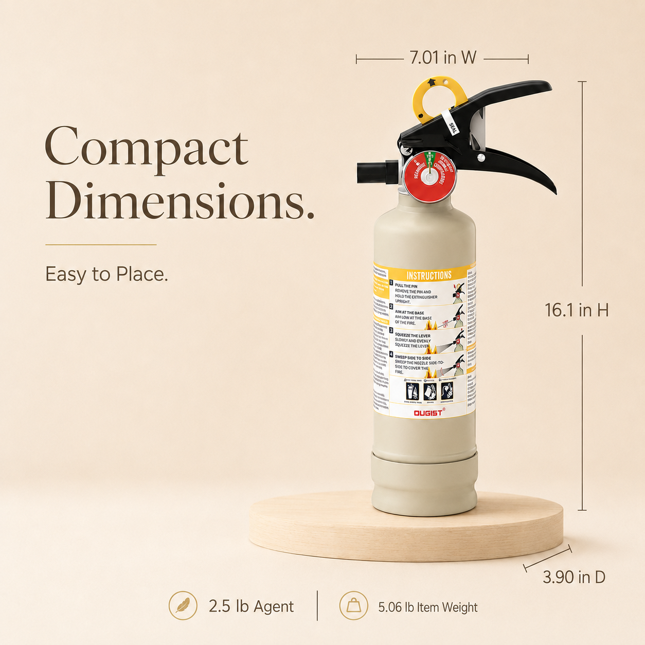 Aesthetic 2.5 lb ABC Fire Extinguisher