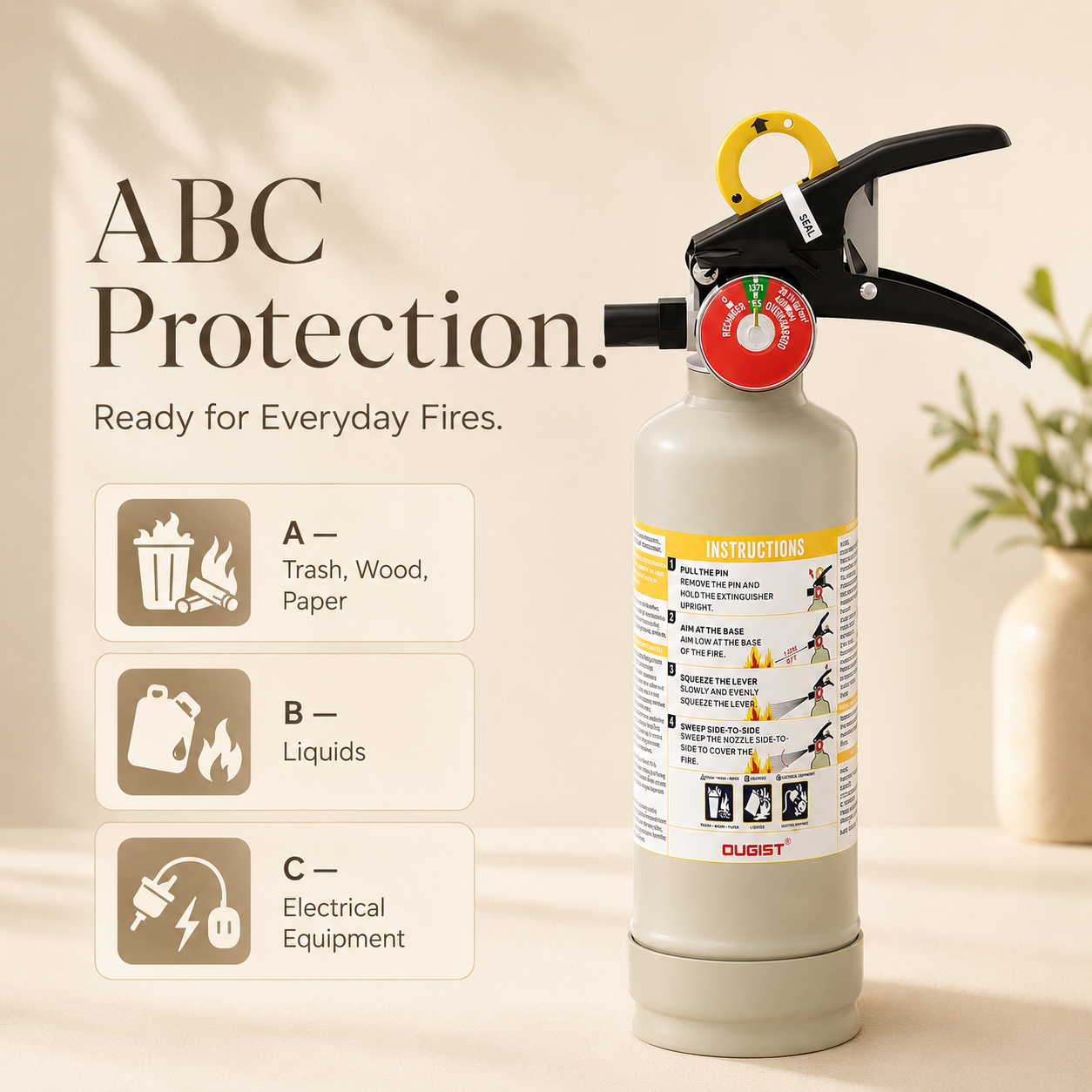 Aesthetic 2.5 lb ABC Fire Extinguisher