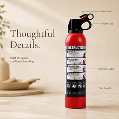 Aerosol extintor portátil multiuso — Ver 5