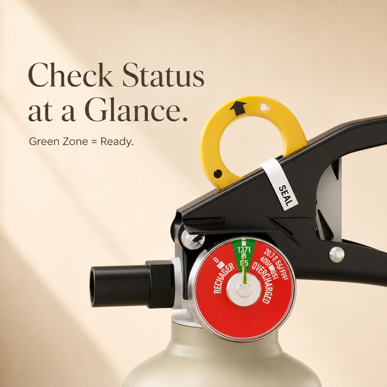 Aesthetic 2.5 lb ABC Fire Extinguisher